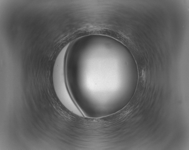 X0000057561348200509160759