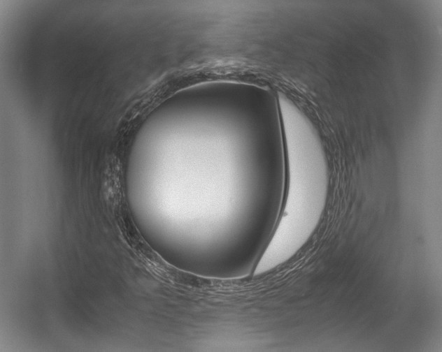 X0000057561349200509160759