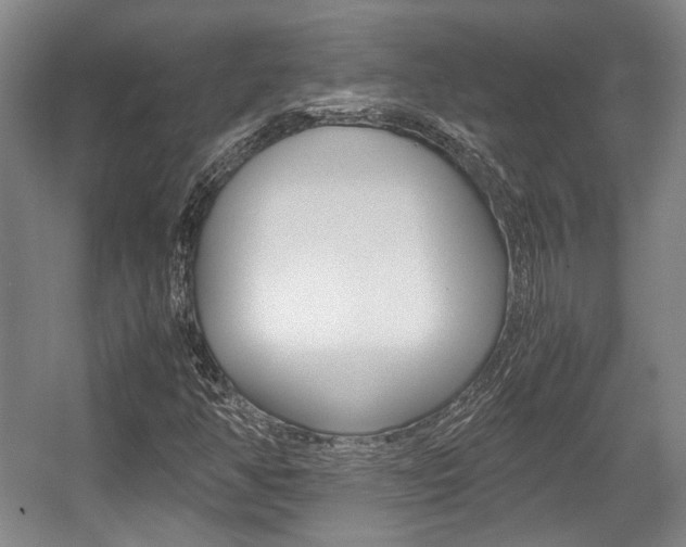 X0000057561350200509160759