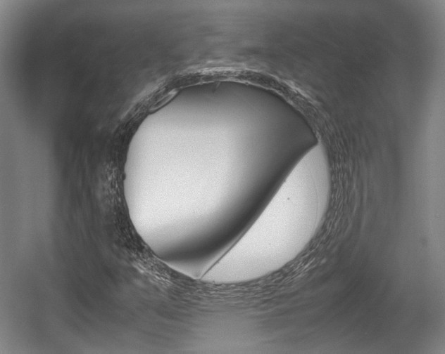 X0000057561351200509160759