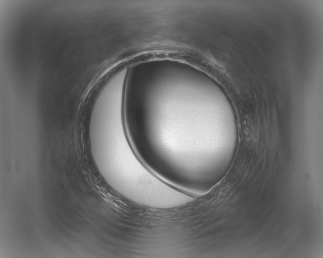 X0000057561352200509160759