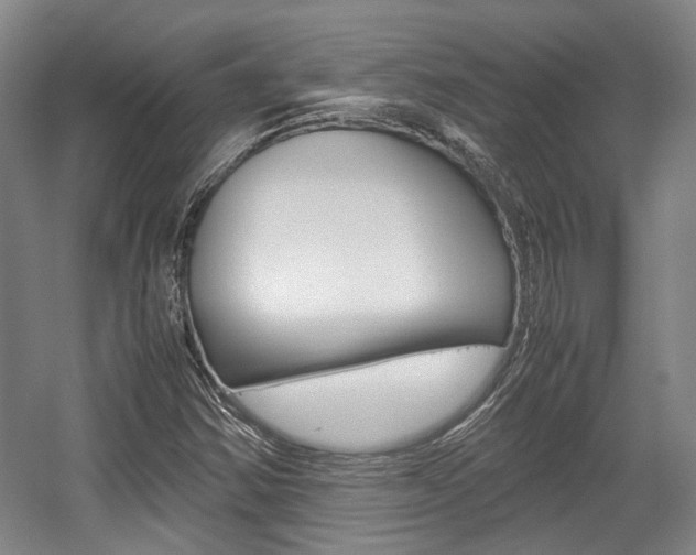 X0000057561354200509160759