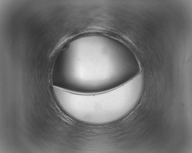 X0000057561355200509160759