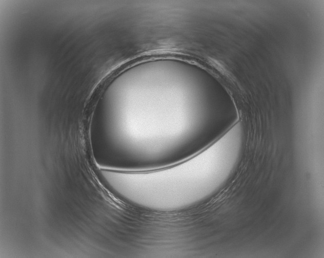 X0000057561356200509160759
