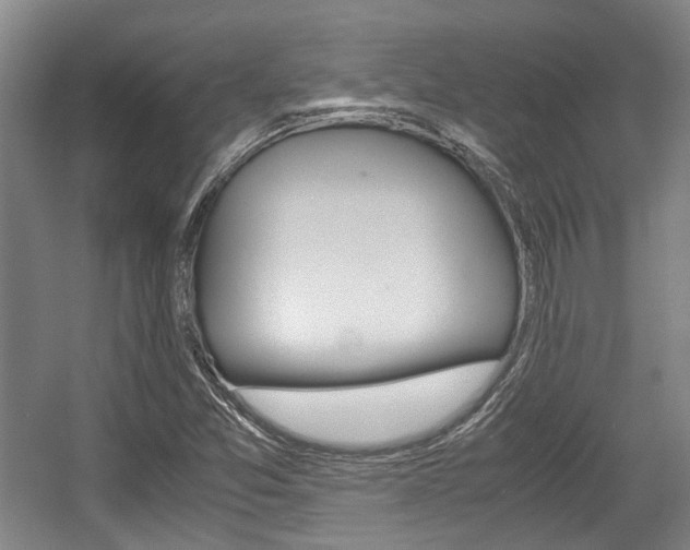 X0000057561357200509160759