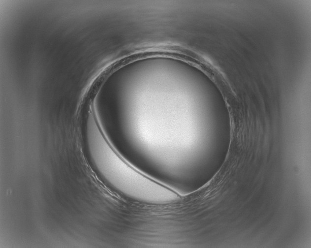 X0000057561360200509160759