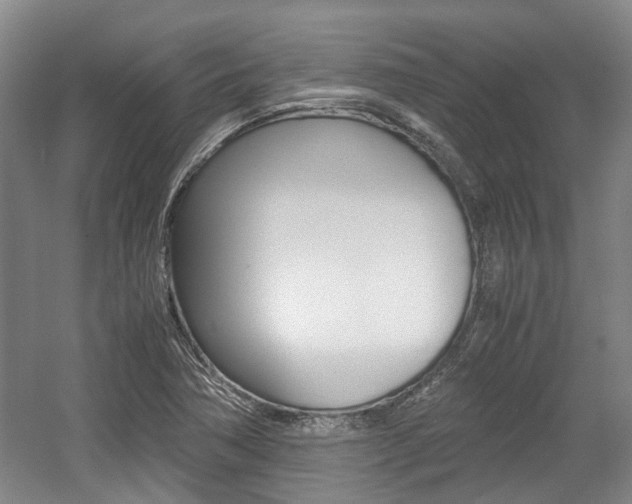 X0000057561362200509160759