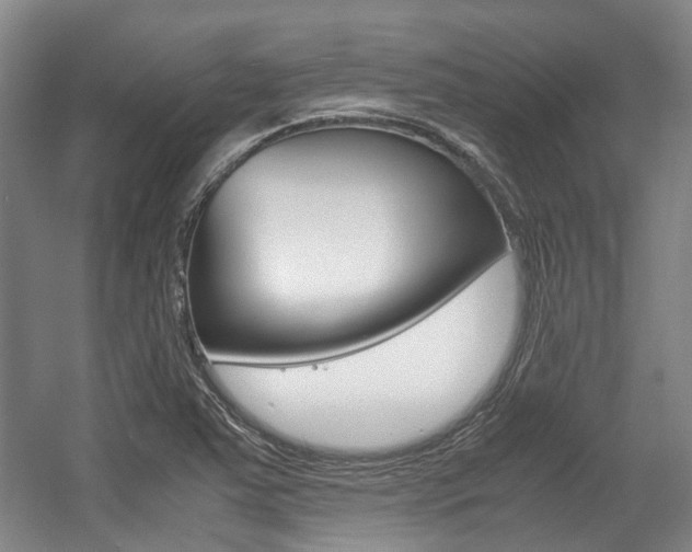 X0000057561363200509160759