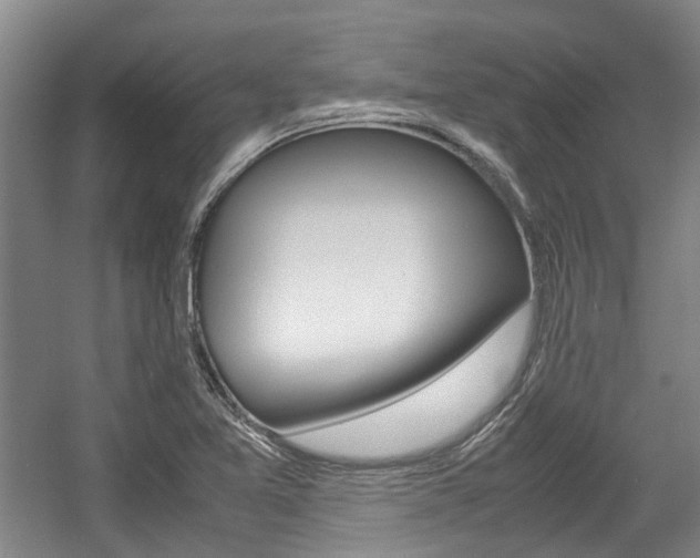 X0000057561365200509160759