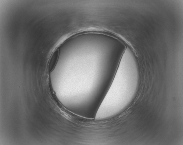 X0000057561367200509160759