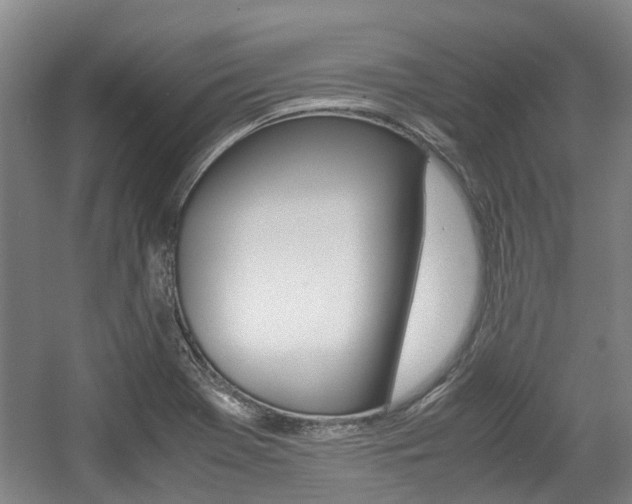 X0000057561369200509160759