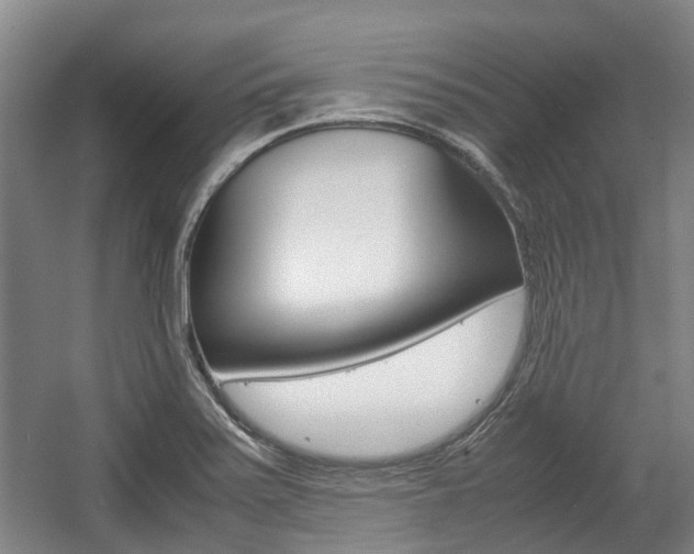 X0000057561371200509160759