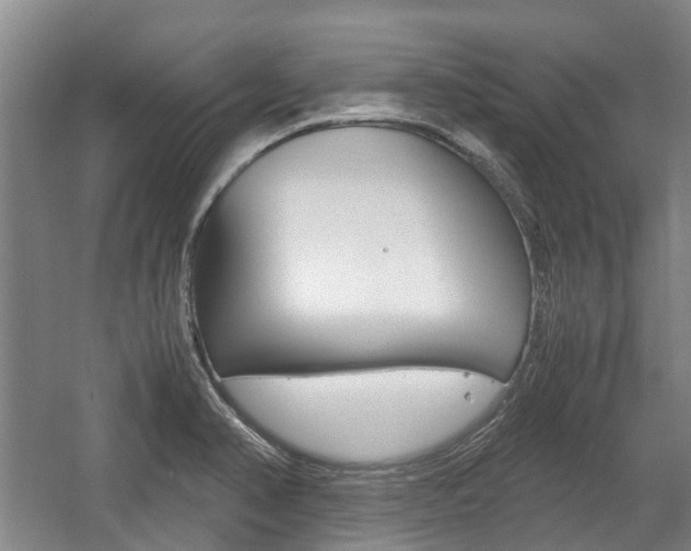 X0000057561374200509160759