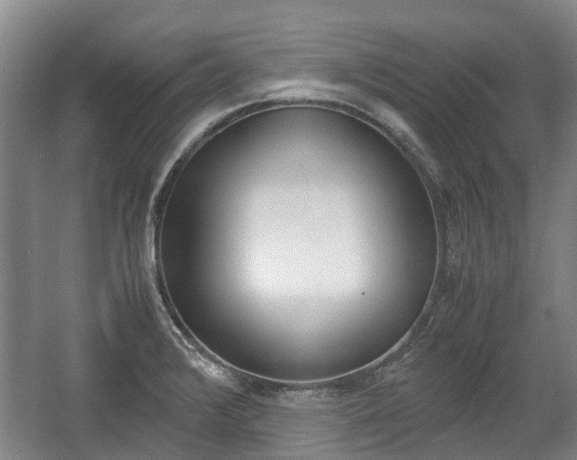X0000057561376200509160759