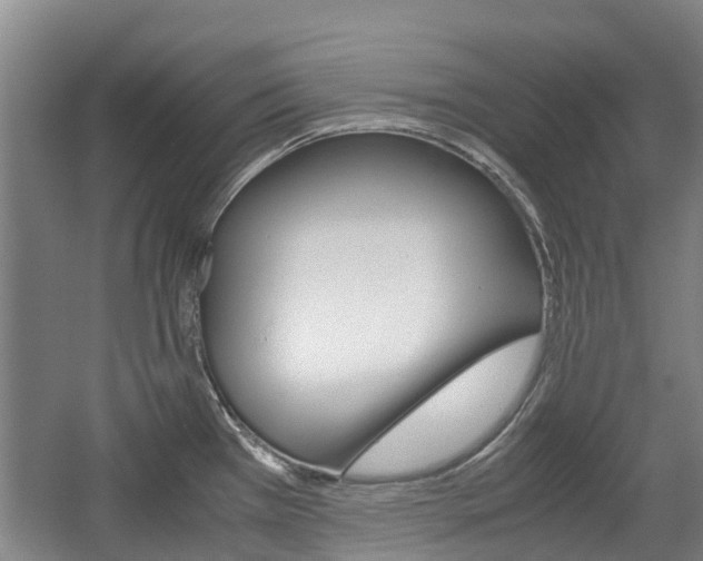 X0000057561385200509160759