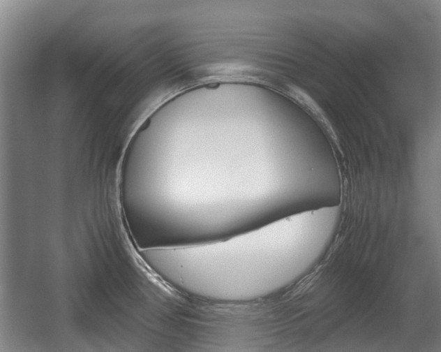 X0000057561386200509160759