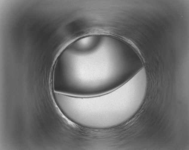 X0000057561387200509160759