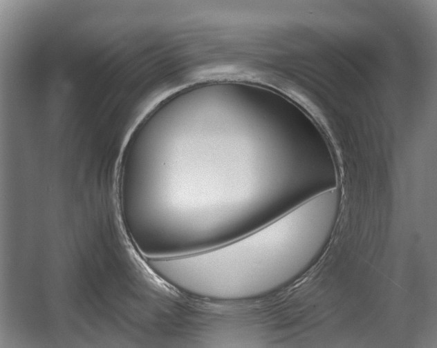X0000057561392200509160759