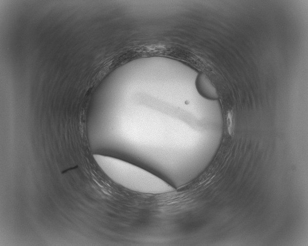 X0000057561395200509160758