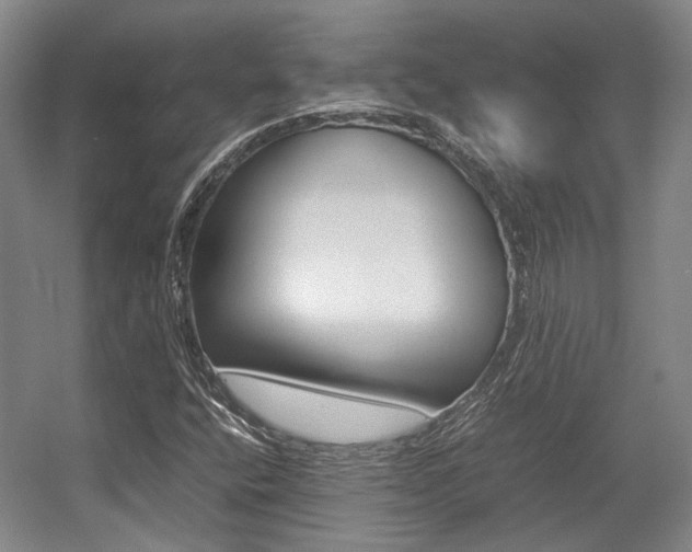 X0000057561400200509160758