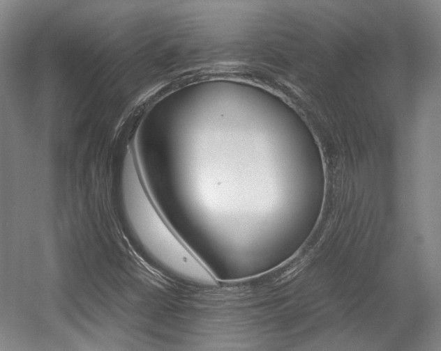 X0000057561402200509160758