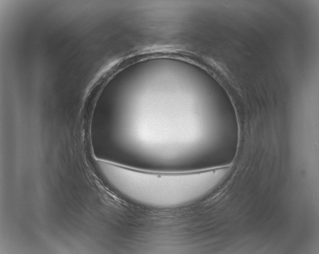 X0000057561406200509160758