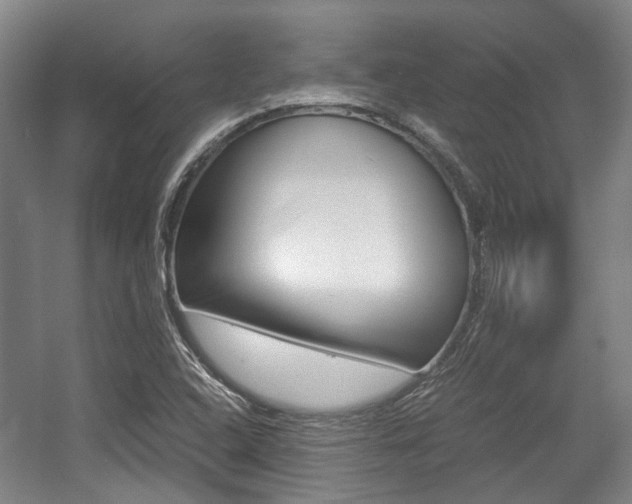 X0000057561408200509160758