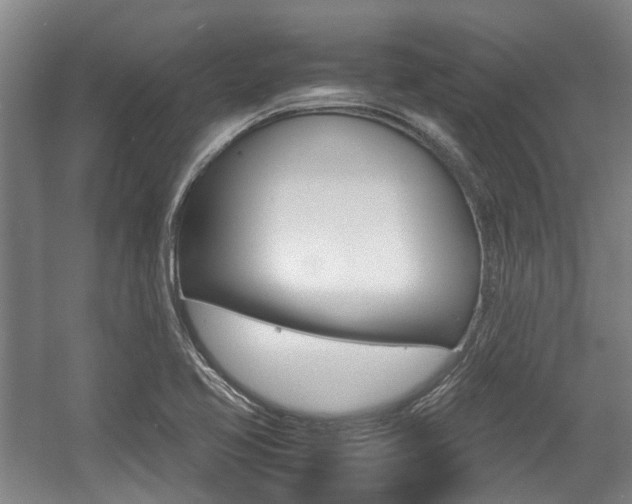 X0000057561413200509160758