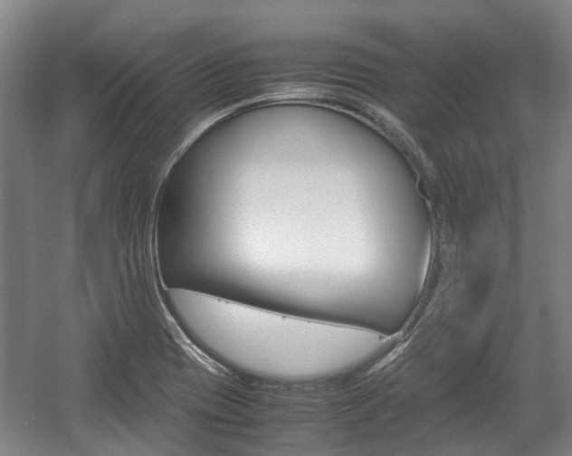 X0000057561417200509160758