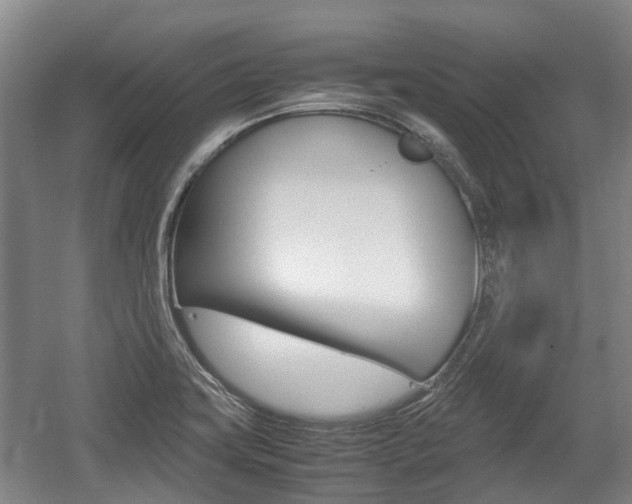 X0000057561419200509160758