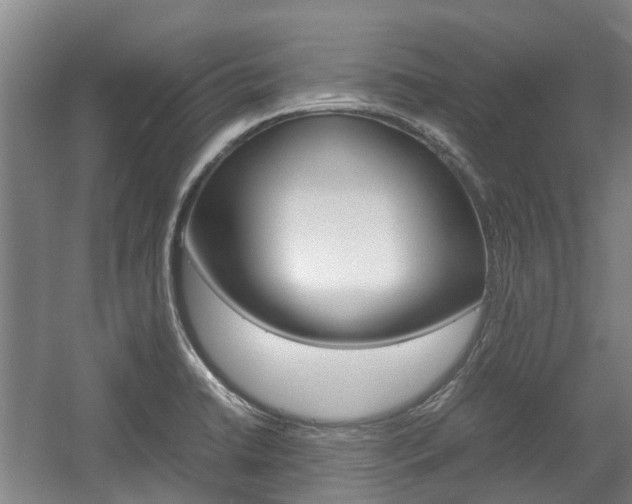 X0000057561422200509160758