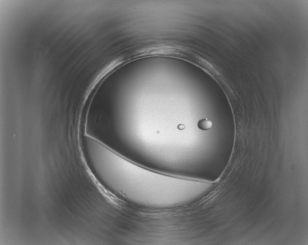 X0000057561426200509160758
