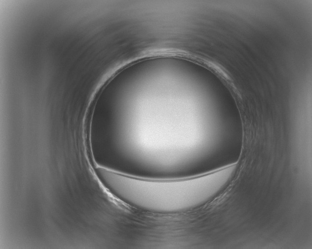 X0000057561430200509160759