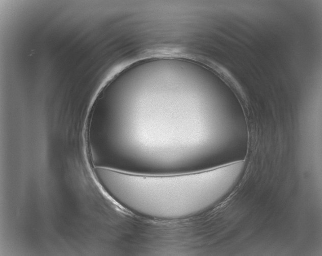 X0000057561432200509160759