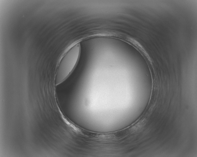 X0000057561433200509160759
