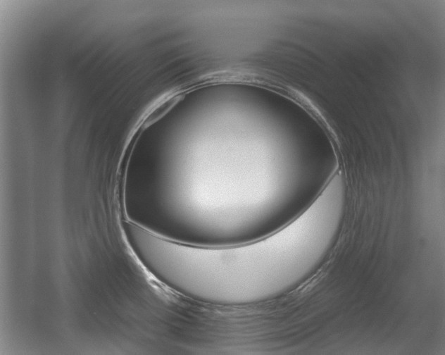 X0000057561434200509160759