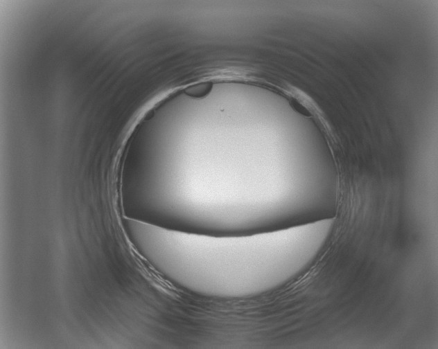 X0000057561435200509160759
