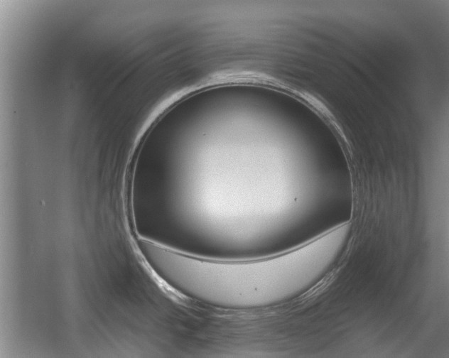 X0000057561438200509160759