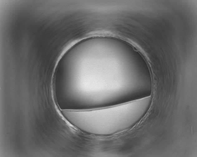 X0000057561440200509160759