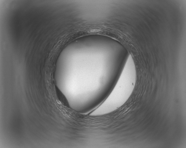 X0000057561441200509160758
