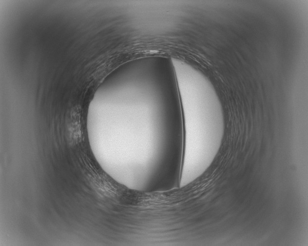 X0000057561442200509160758