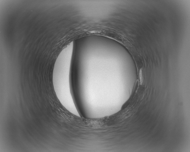 X0000057561443200509160758