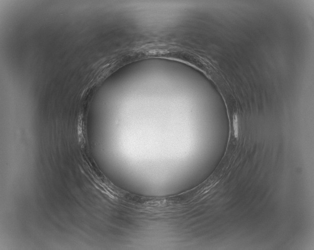 X0000057561444200509160758