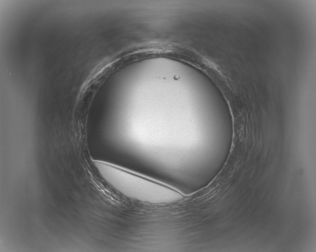 X0000057561448200509160758