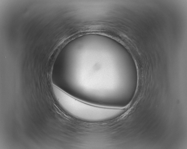 X0000057561449200509160758
