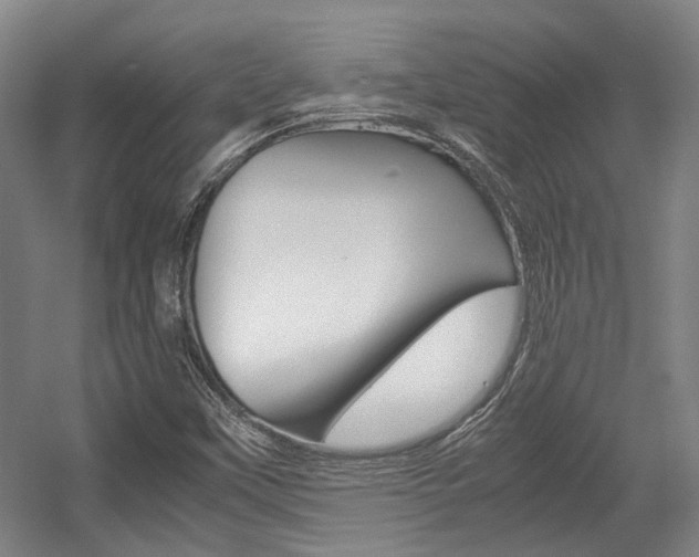 X0000057561451200509160758