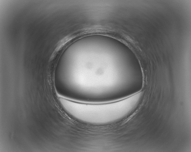 X0000057561453200509160758