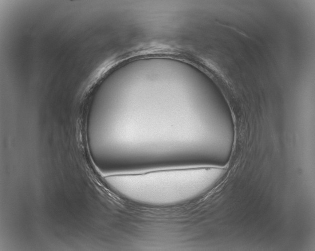 X0000057561455200509160758