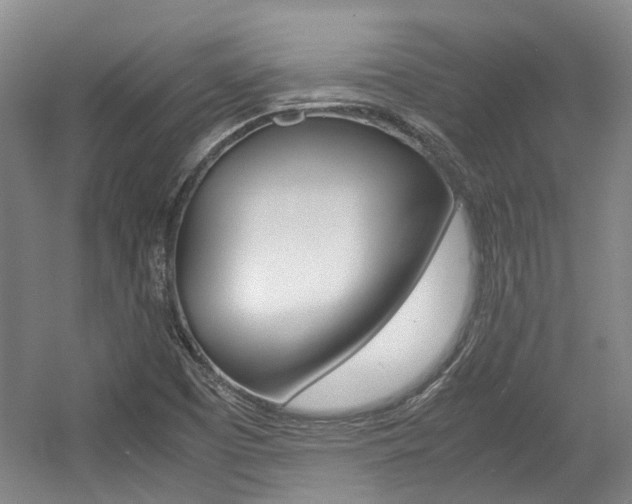 X0000057561457200509160758