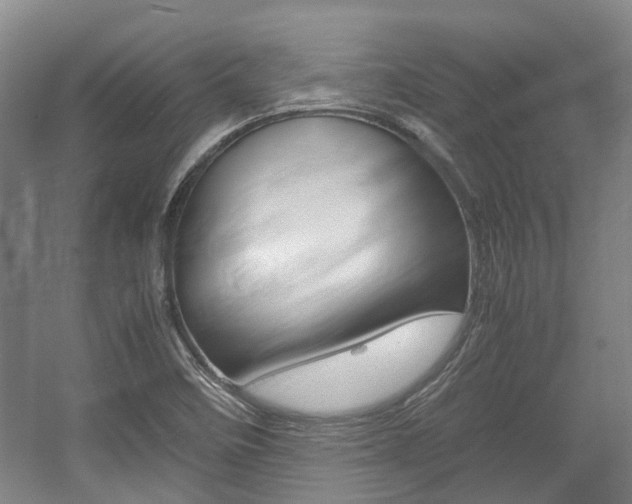 X0000057561458200509160758